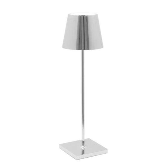 Protection Eye / Silver