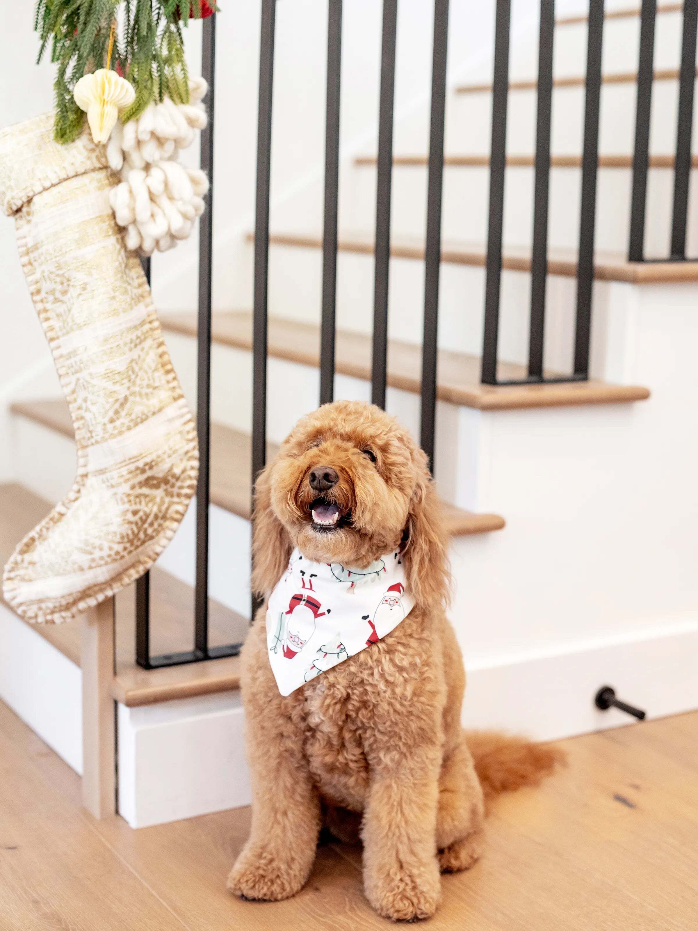 Christmas Matching Family Pajamas Set Gnome Print White PJS with Christmas Socks White