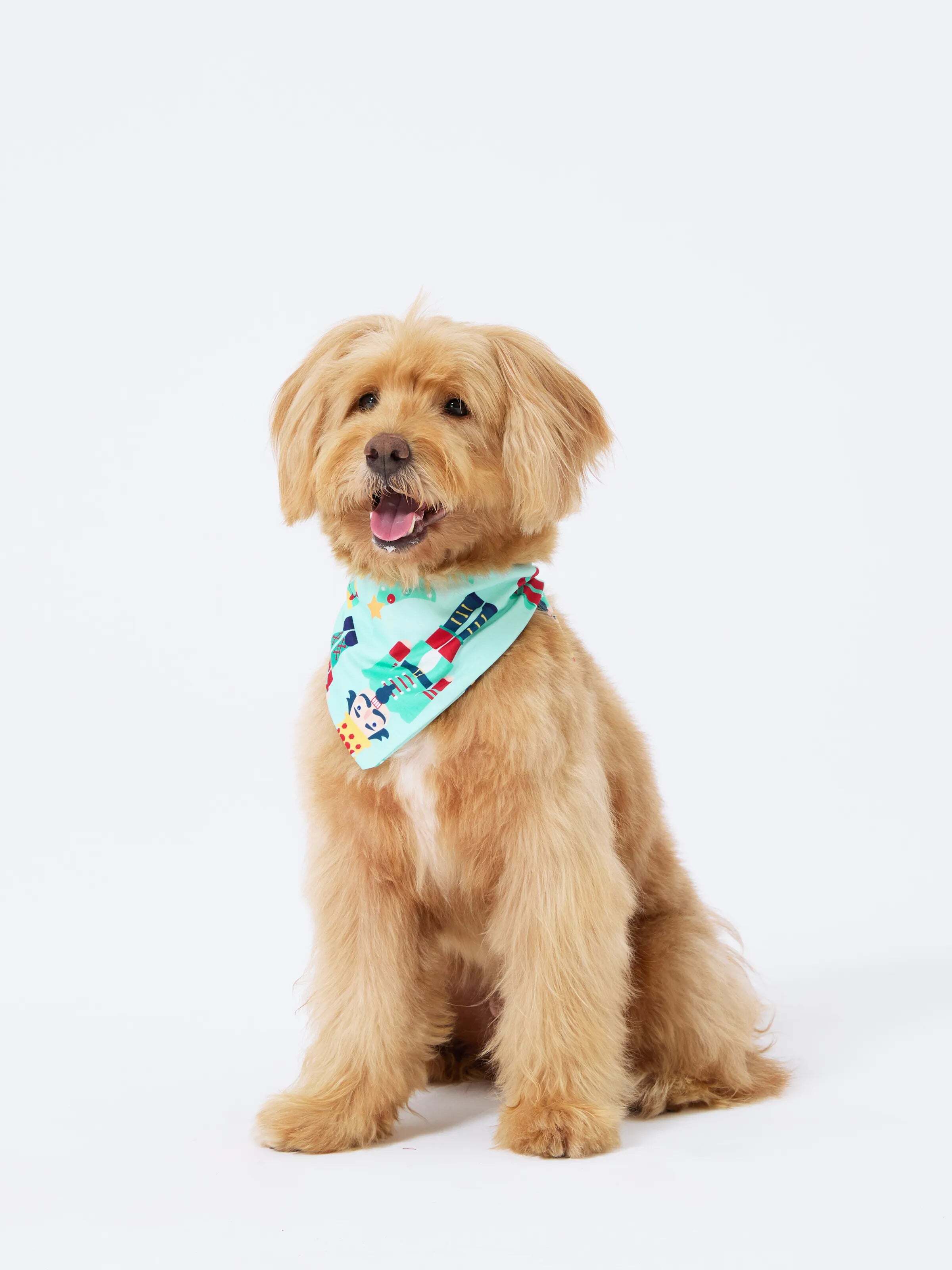 Christmas Matching Family Pajamas Set Soldier and Christmas Tree Print PJS with Christmas Socks Pale Green