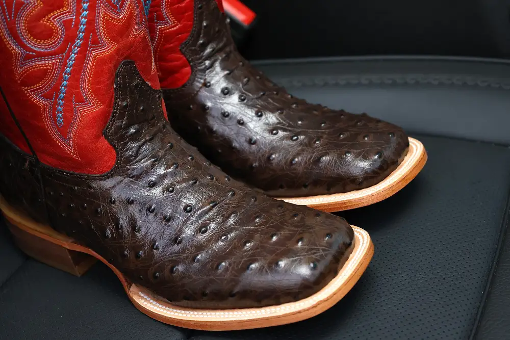 Men’s Chocolate Brown Ostrich Boots—Square Toe