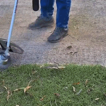 Razorsharp Trimmer Head Wired Trimmer Blade