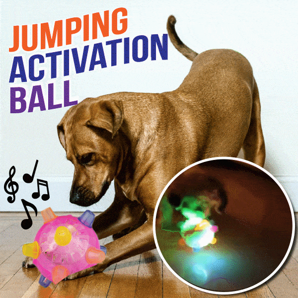 Jumping Activation Ball for Dogs2 Pcs/SetBlue+Pink