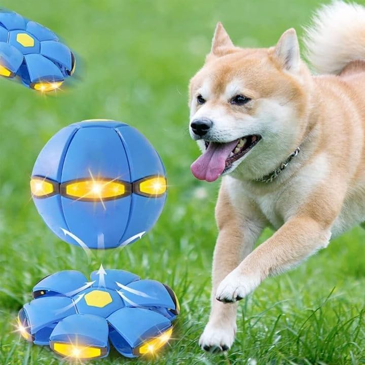 The Doggy Disc Ball