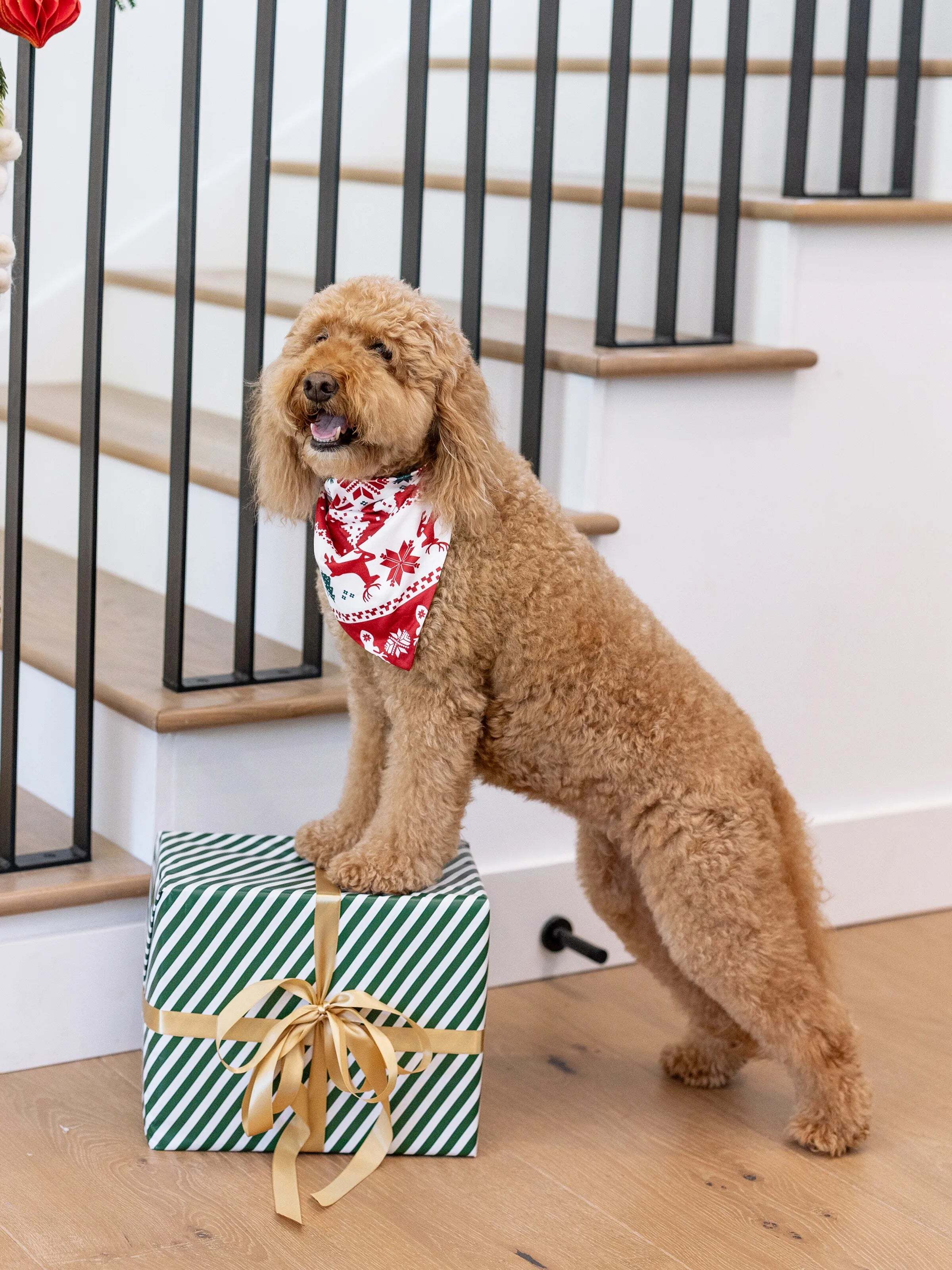 Christmas Matching Family Pajamas Set Reindeer and Snowman Print Red Long-sleeve PJS with Christmas Socks Red