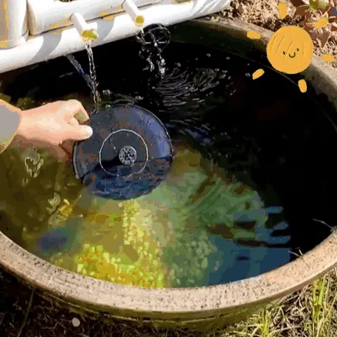 Solar Powered Bird Bath Fountain