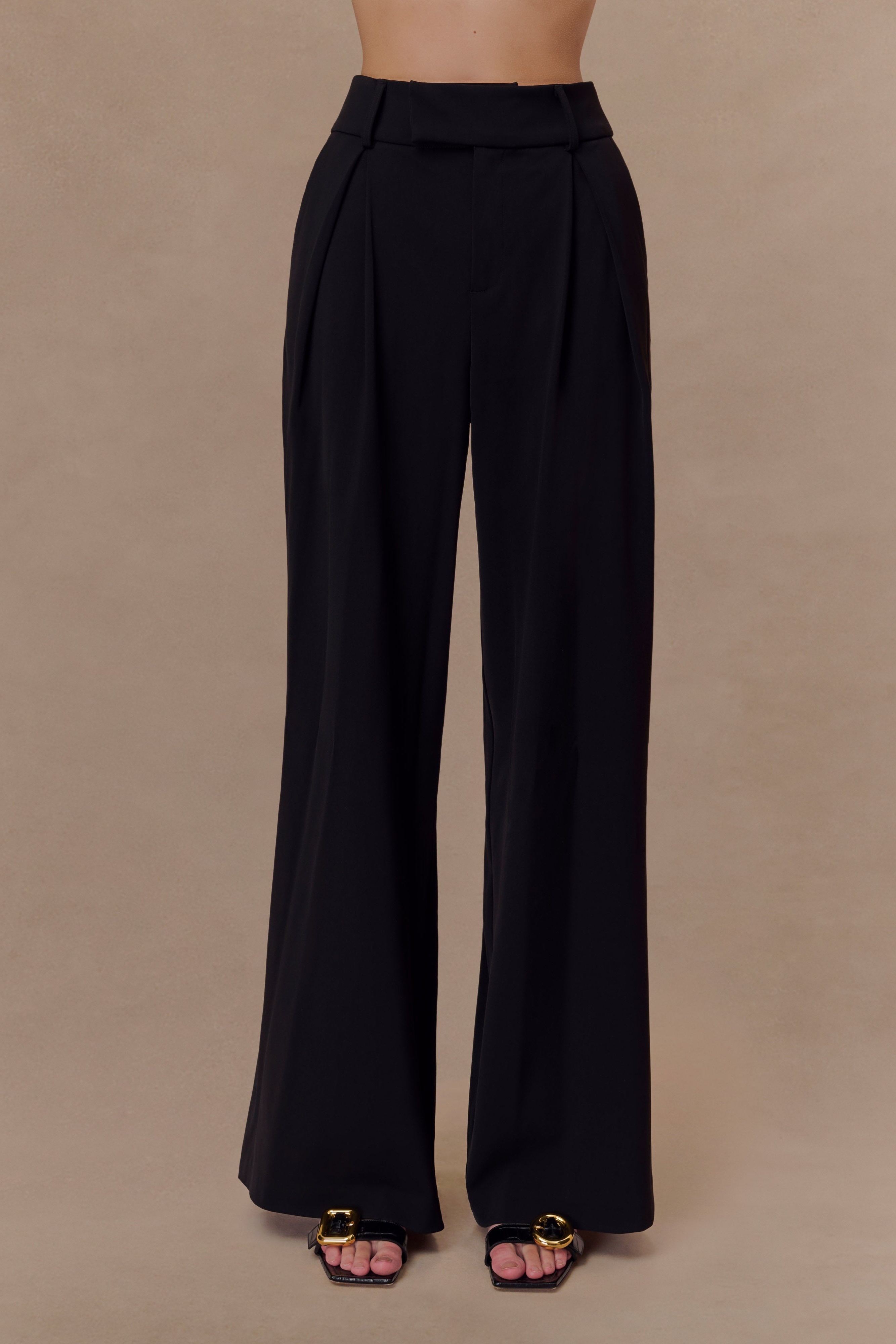 Black Pleated Wide Leg Pants