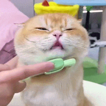 Self-cleaning Pet Flea Comb Grooming Brush