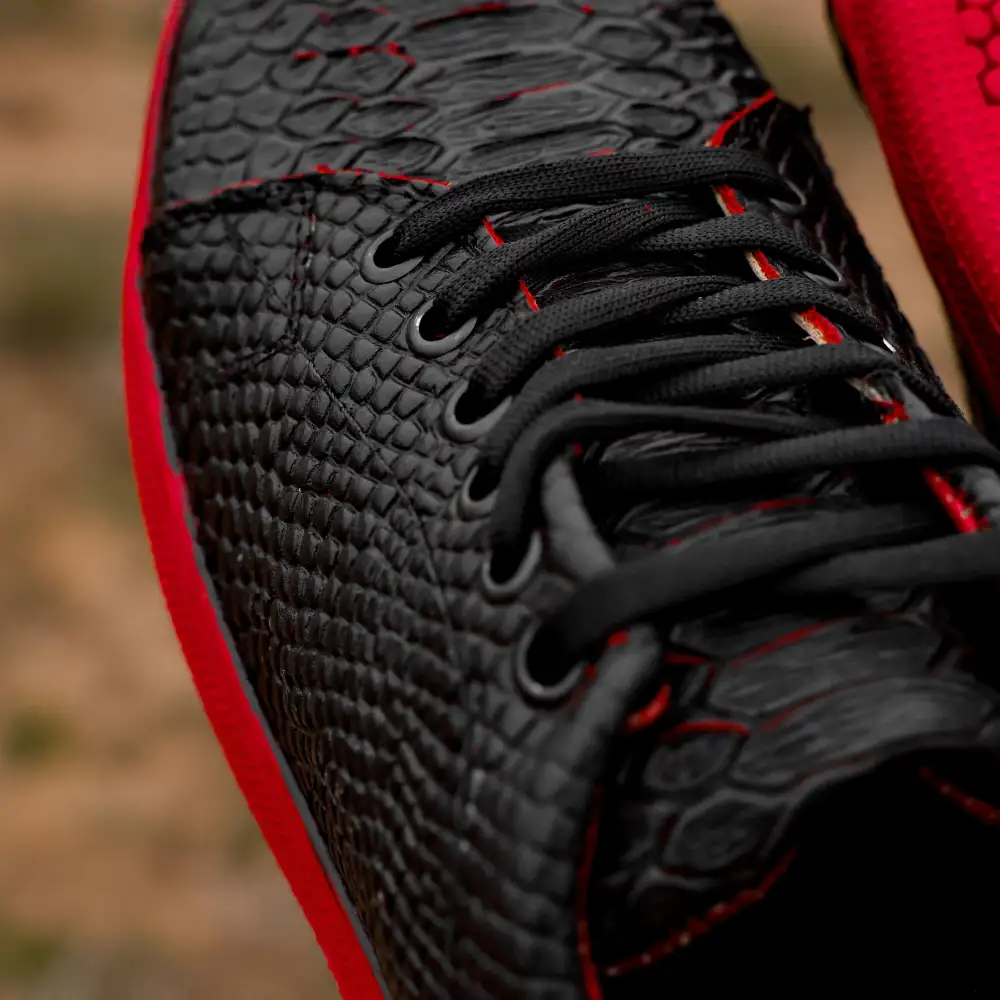 Black Cherry Python Leather Shoes