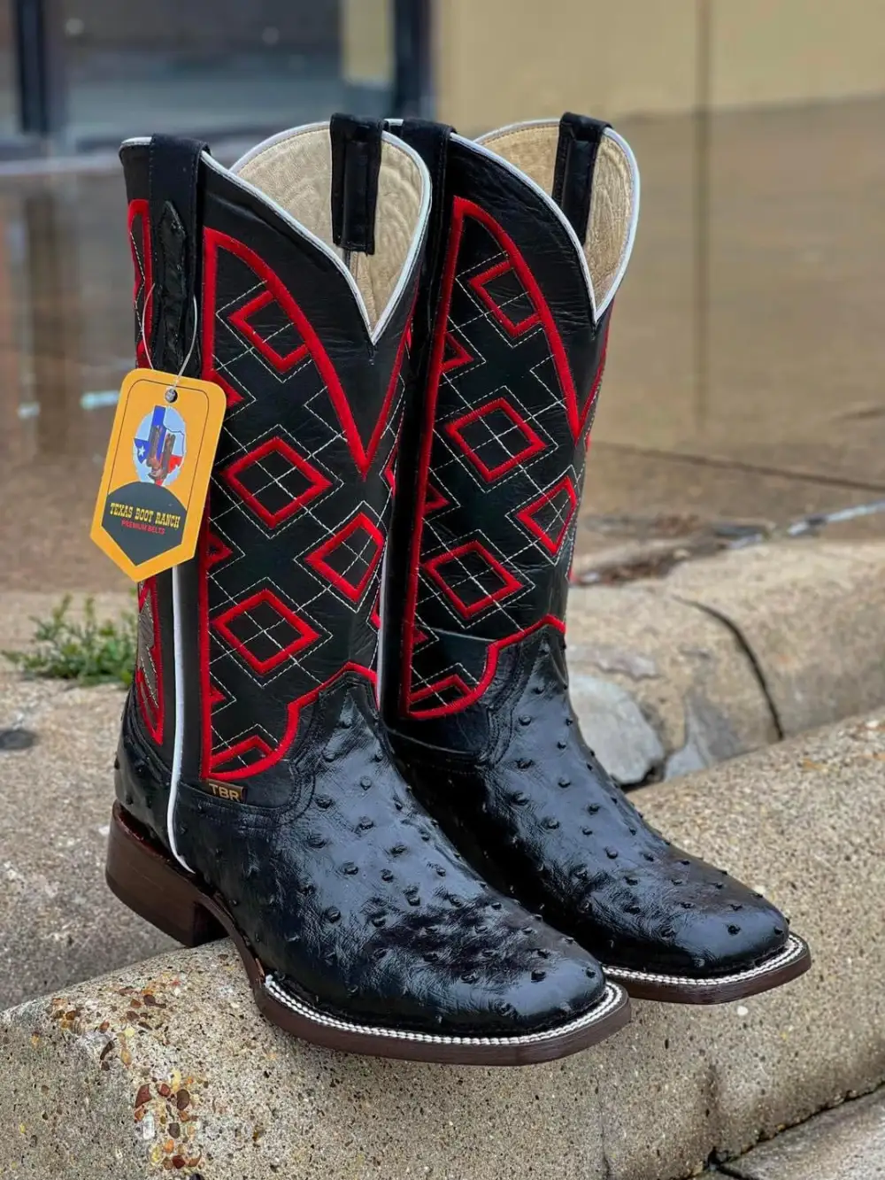 Men’s Black Ostrich Leather Boots With Black / Red Embroidery Shaft