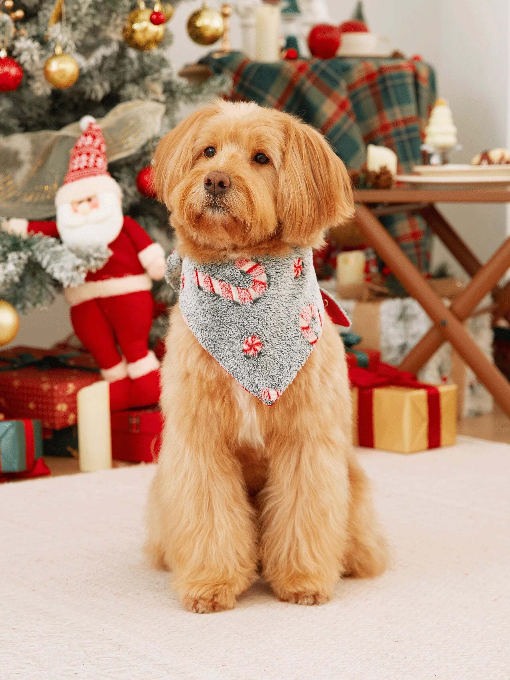 Onesies Pajamas Matching Christmas Outfits Candy Cane Pattern (Glow in the Dark) with Christmas Socks Black