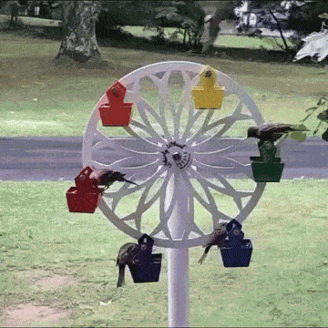 Wheel Bird Feeder - The Ferris Wheel of Fun for Your Feathered Friends