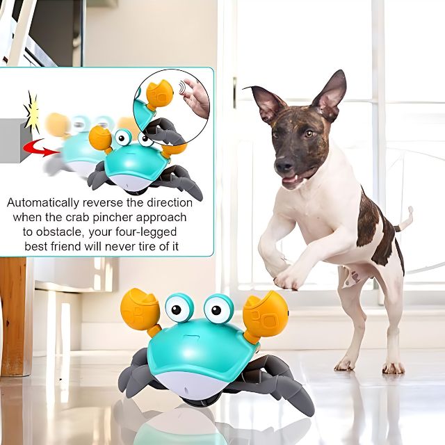 Crawling Crab - Interactive Toy for Pups