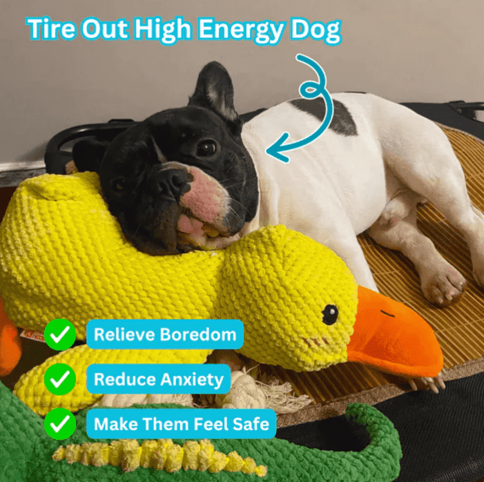 Mellow Dog Calming Duck Dog Toy