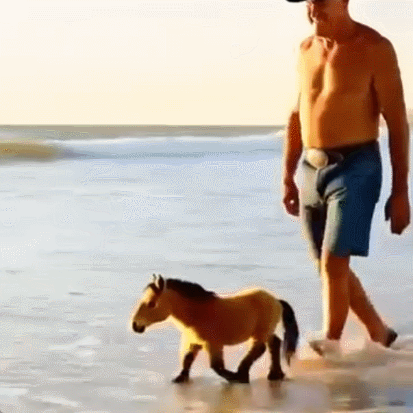 Lifelike Robot Pony  Walks Barks & Wags Tail Like a Real Pet