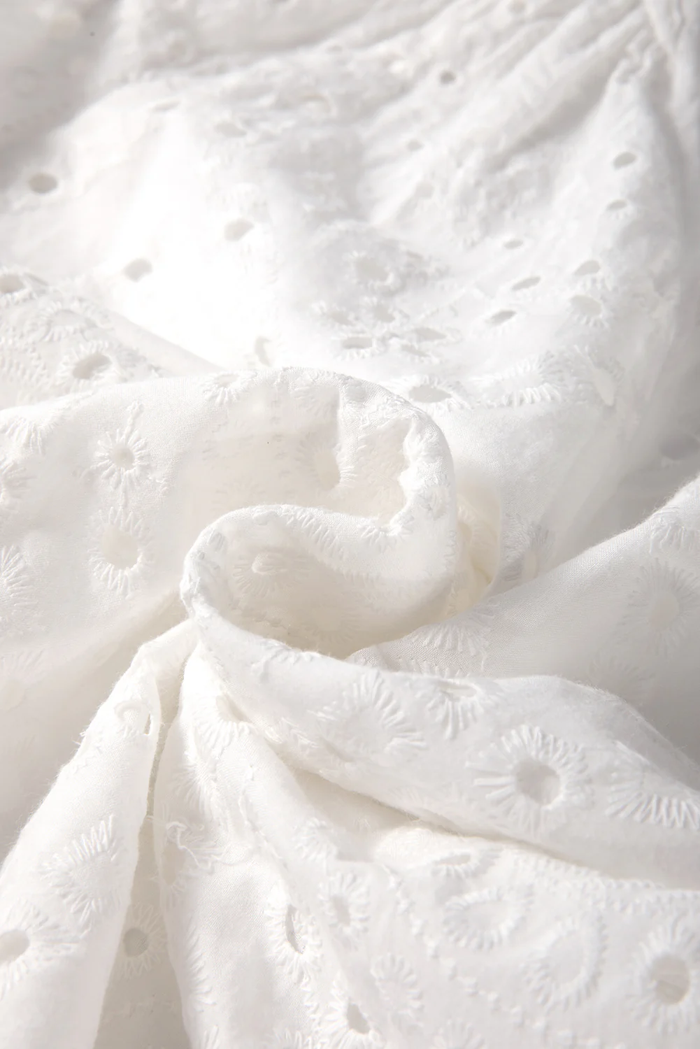 Eyelet Embroidered Puff Sleeve V Neck Blouse