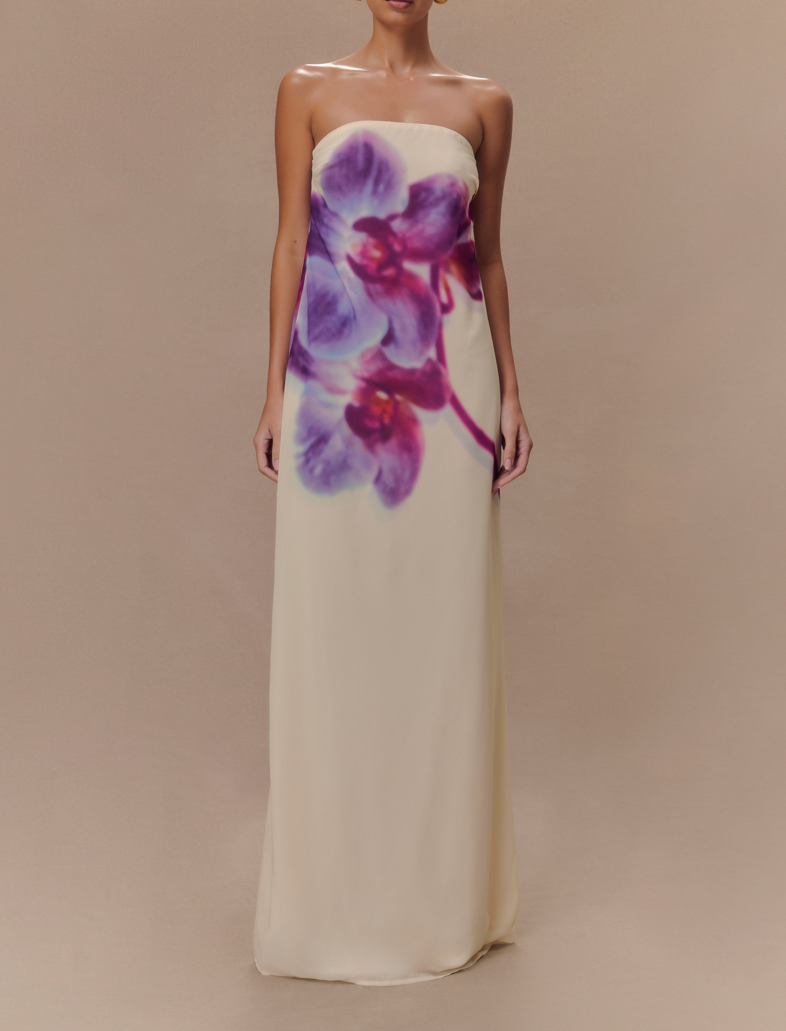 Print Strapless Chiffon Maxi Dress