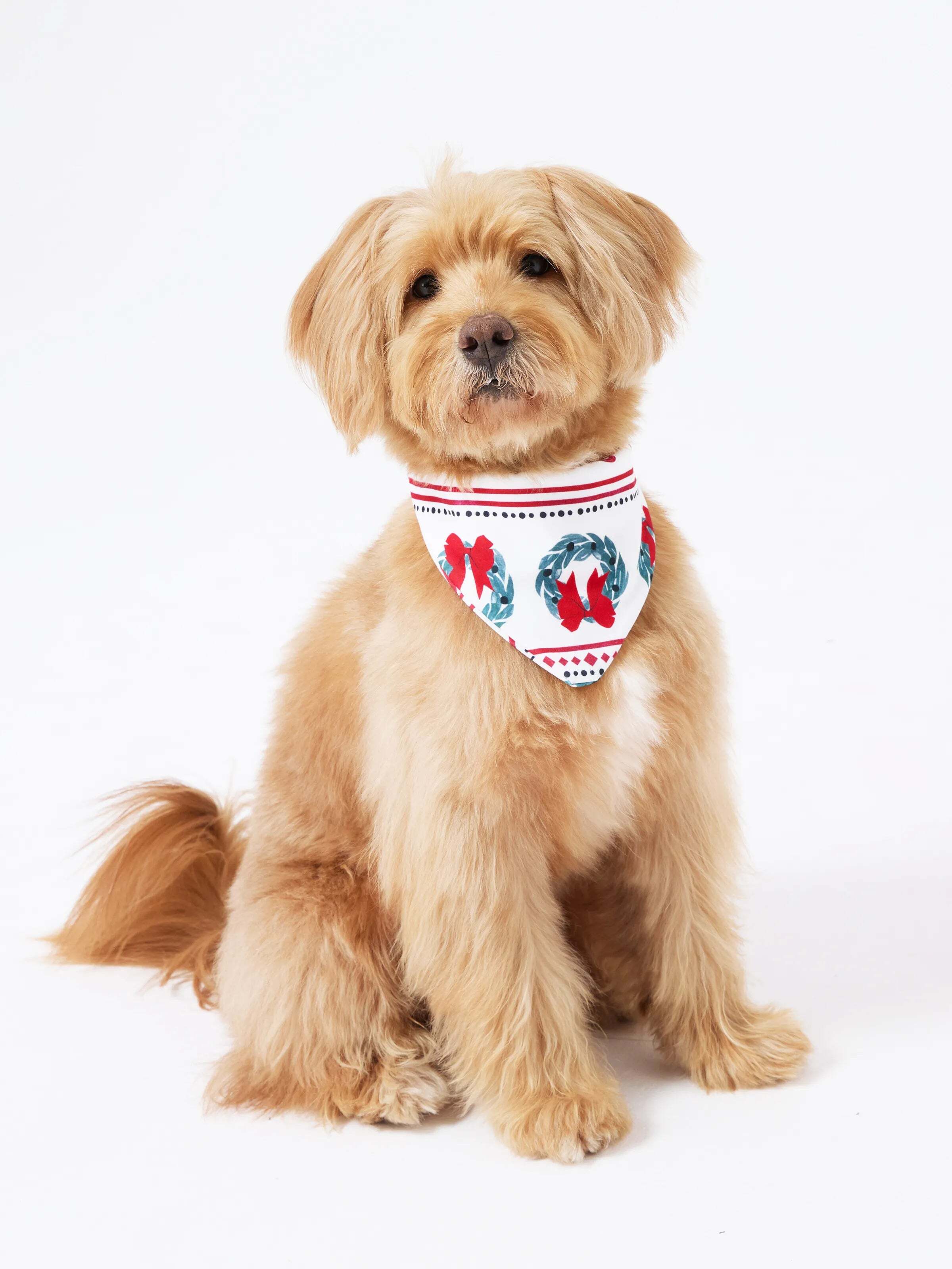 Christmas Matching Family Pajamas Set Christmas Elk and Bell Print Striped PJS with Christmas Socks White