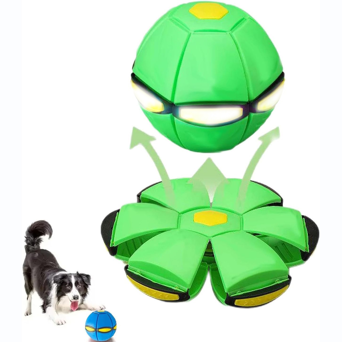 The Doggy Disc Ball