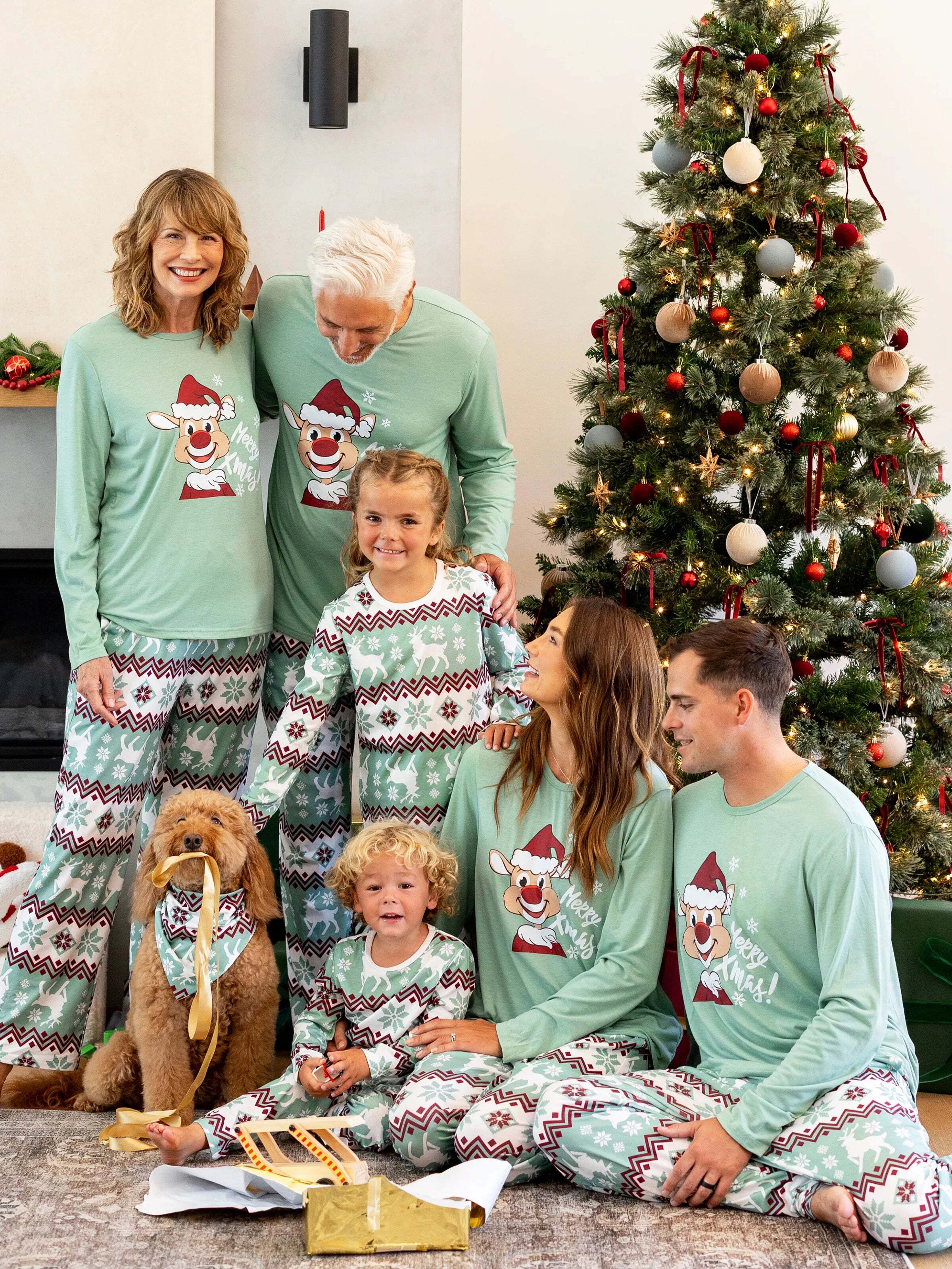Christmas Matching Family Pajamas Set Christmas Spirit and Snowflake Print PJS with Christmas Socks Pale Green