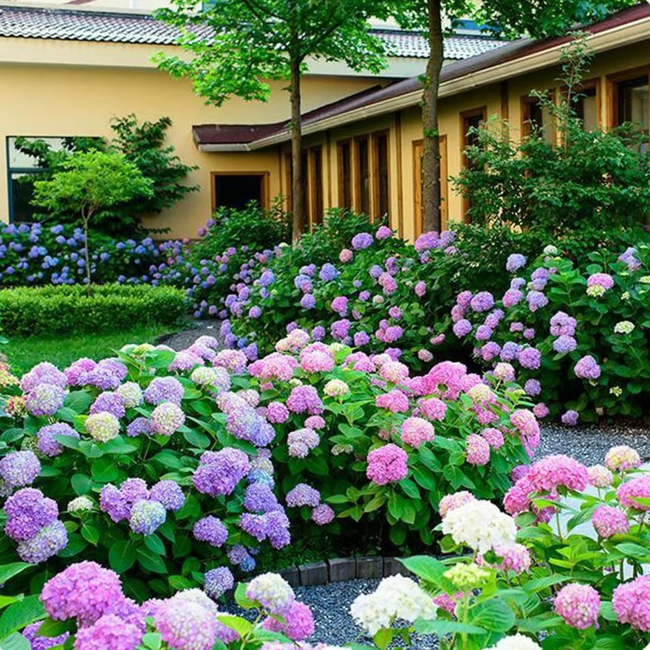 3-Pack Lifelike Hydrangea Silk Flowers  UV-Resistant for Indoor/Outdoor Decor