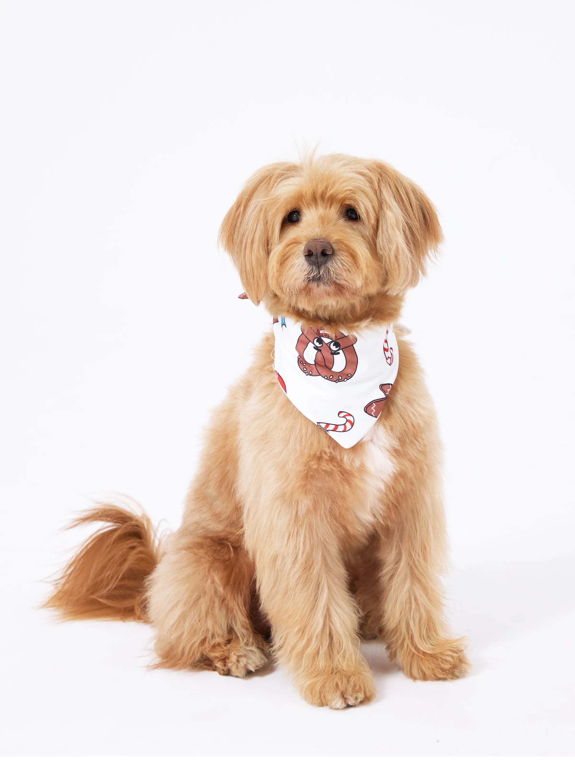 Christmas Matching Family Pajamas Set Gingerbread and Santa PJS with Christmas Socks Red