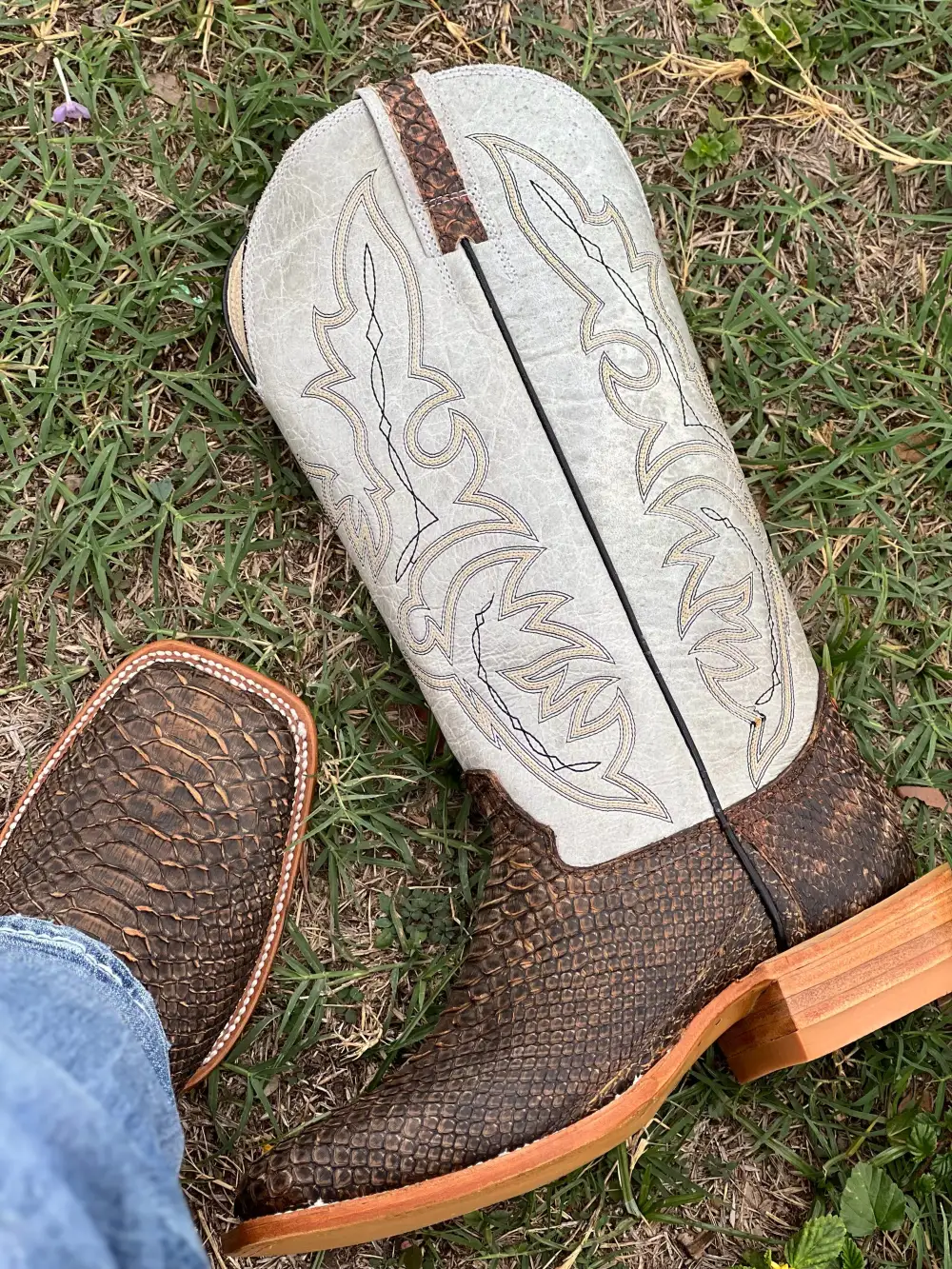 Men’s Genuine Cooper Color  Python Boots