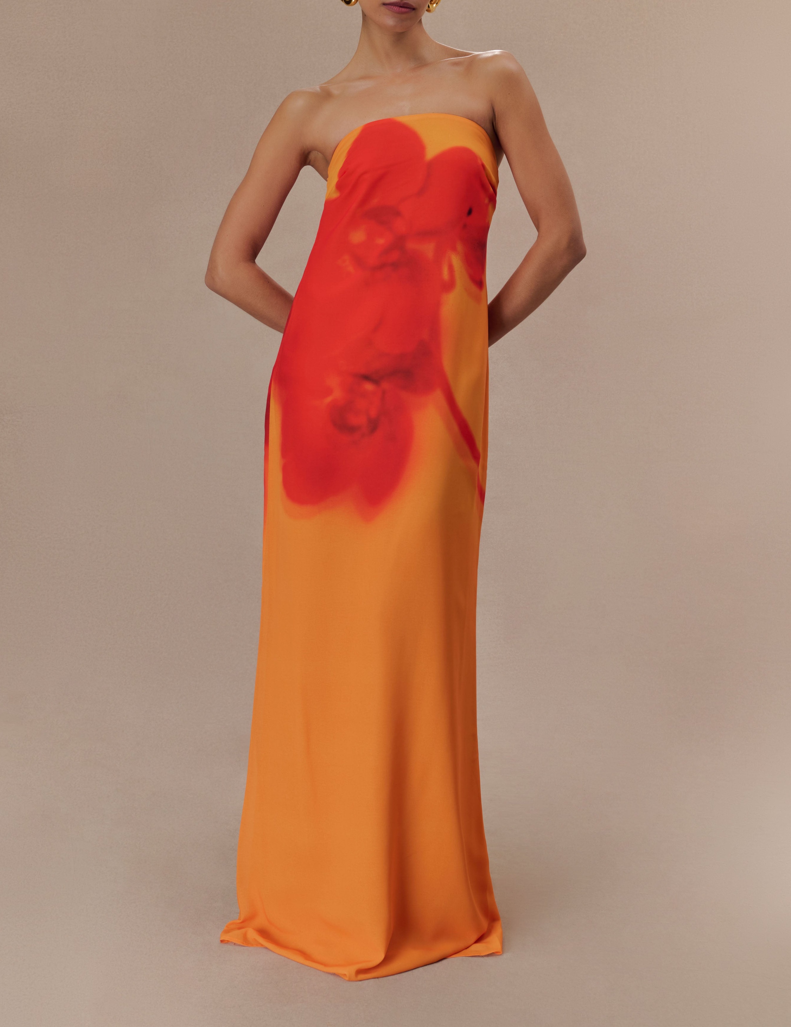 Print Strapless Chiffon Maxi Dress