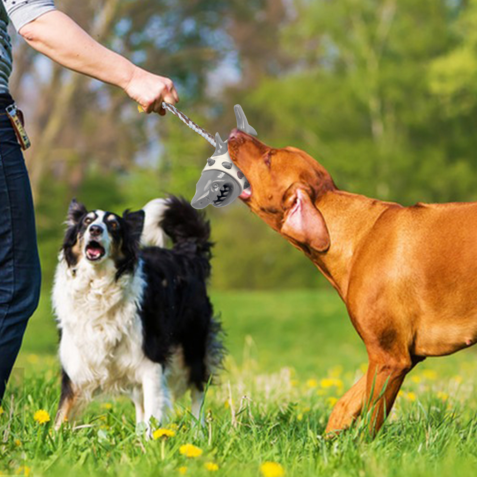 Shark Dog Toys For Aggressive Chewers