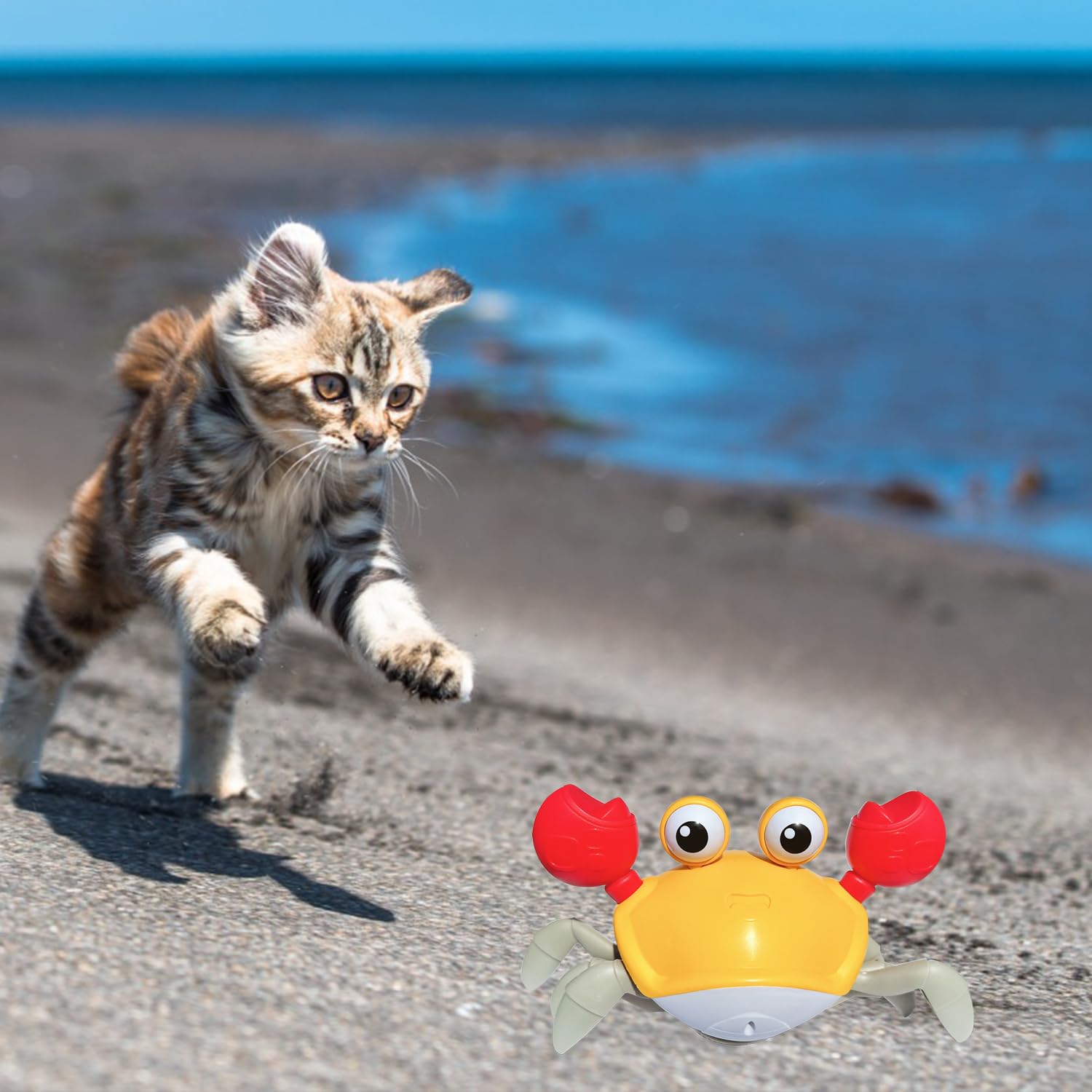 Crawling Crab - Interactive Toy for Pups