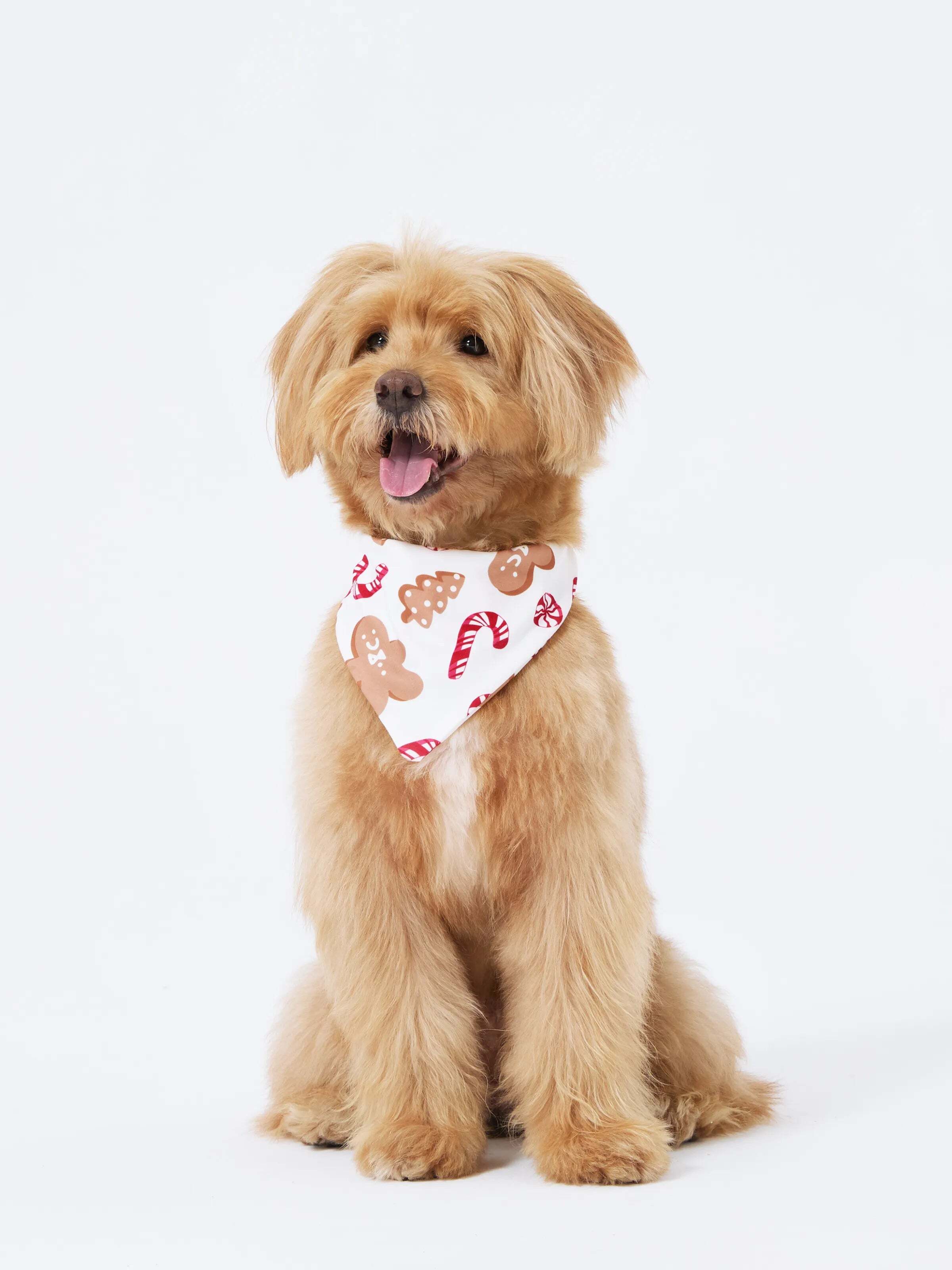Christmas Matching Family Pajamas Set Gingerbread and Candy Cane Print PJS with Christmas Socks Red