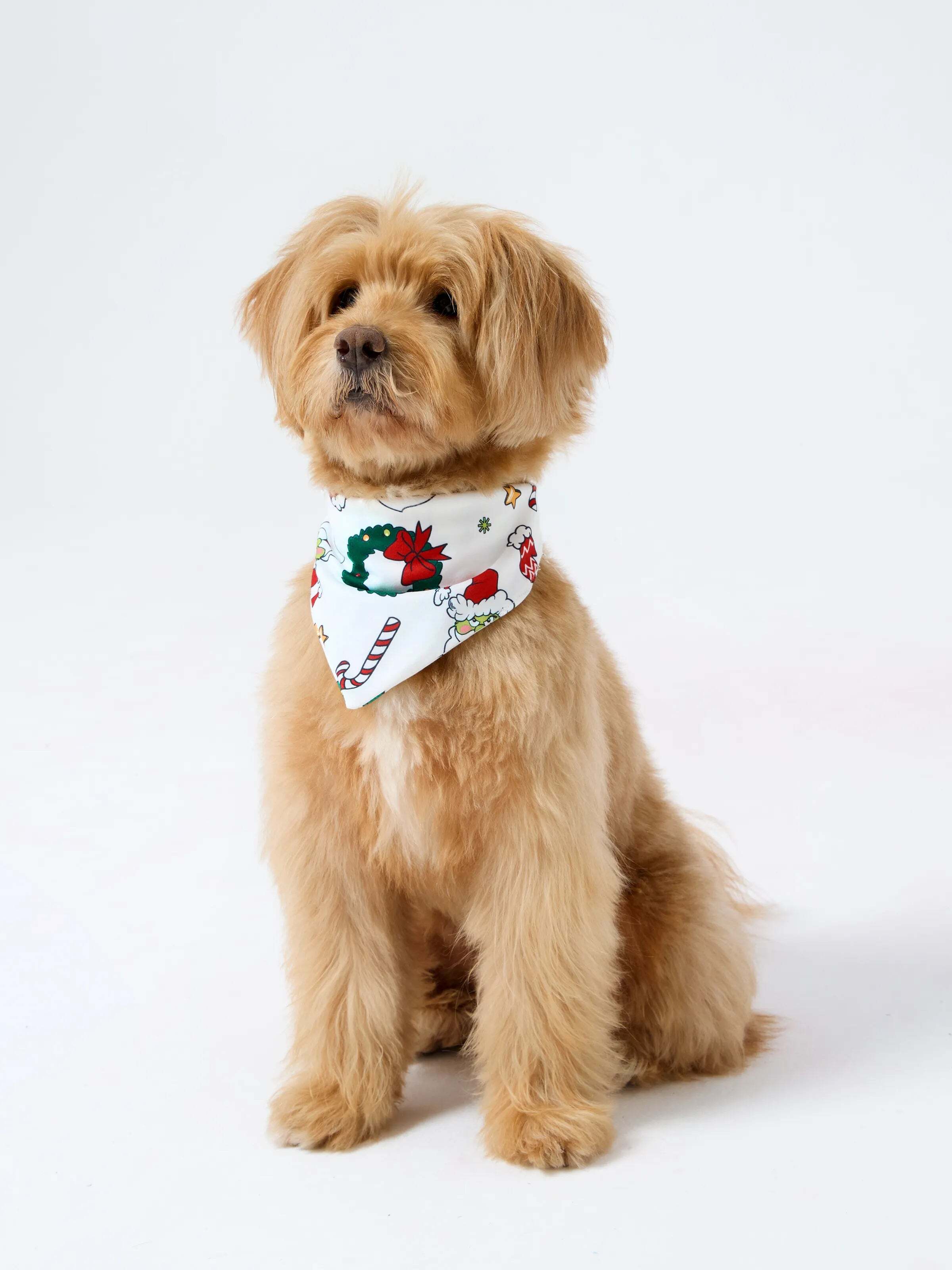 Christmas Matching Family Pajamas Set Christmas Grinch-themed Print PJS with Christmas Socks Red