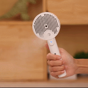 4 in 1 Grooming Spritz Defur UV Steam Brush For Cats