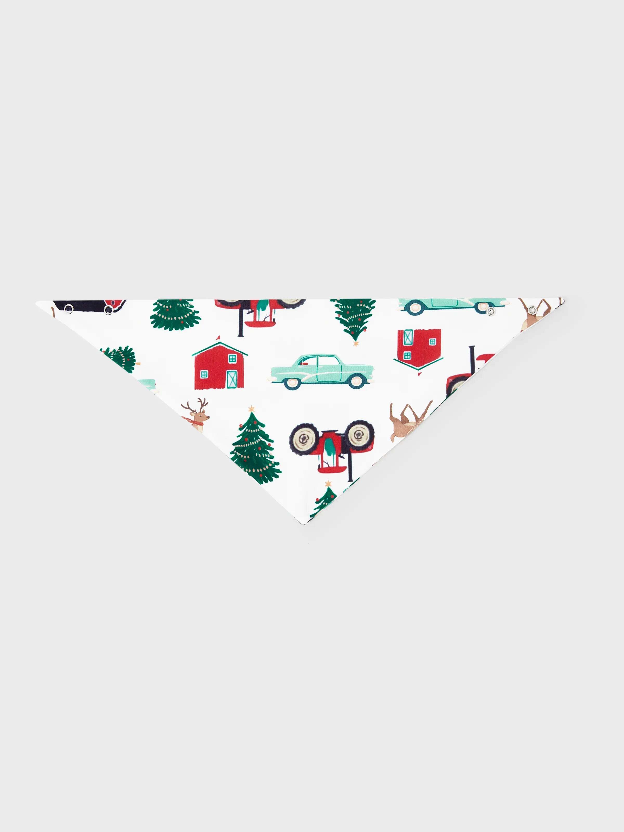 Christmas Matching Family Pajamas Set Reindeer and Car Print PJS with Christmas Socks Red