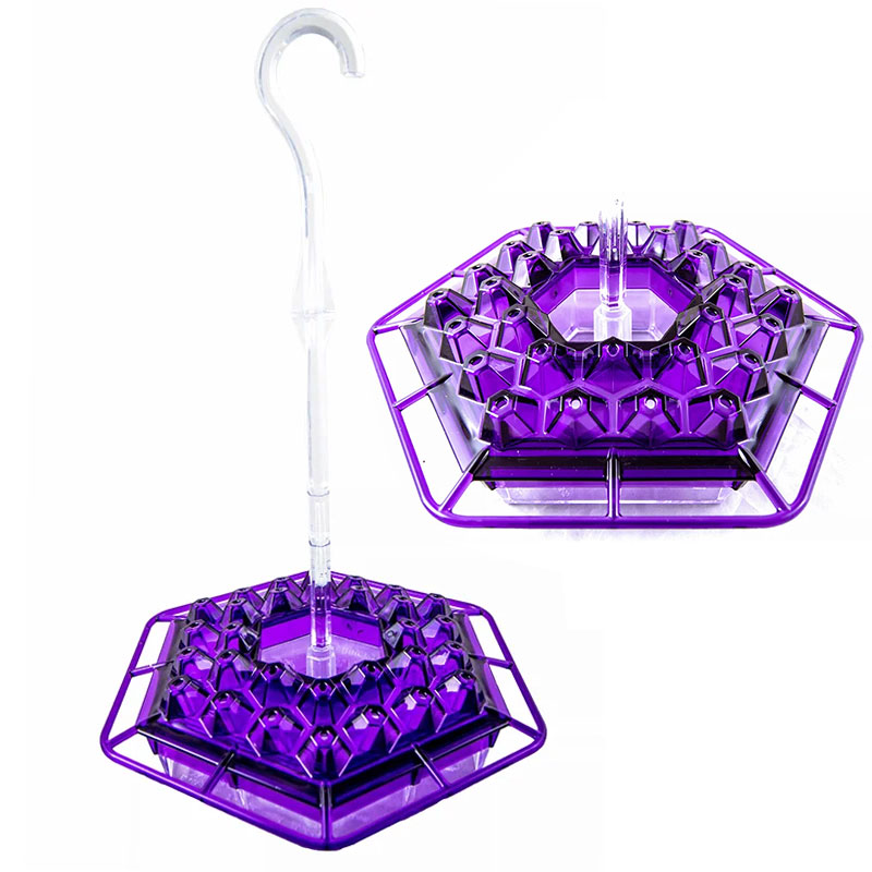 Sweety Hummingbird Feeder