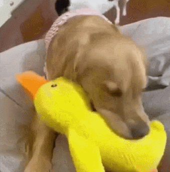 Mellow Dog Calming Duck Dog Toy