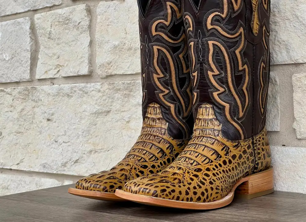 Men’s Honey Crocodile Horn-Back With Brown Shaft