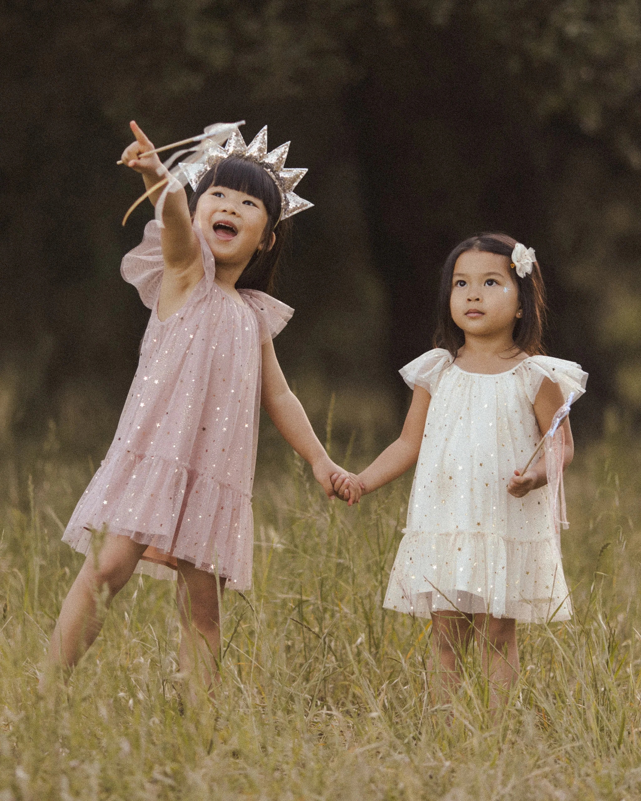 Edie Dress || Rose Stars