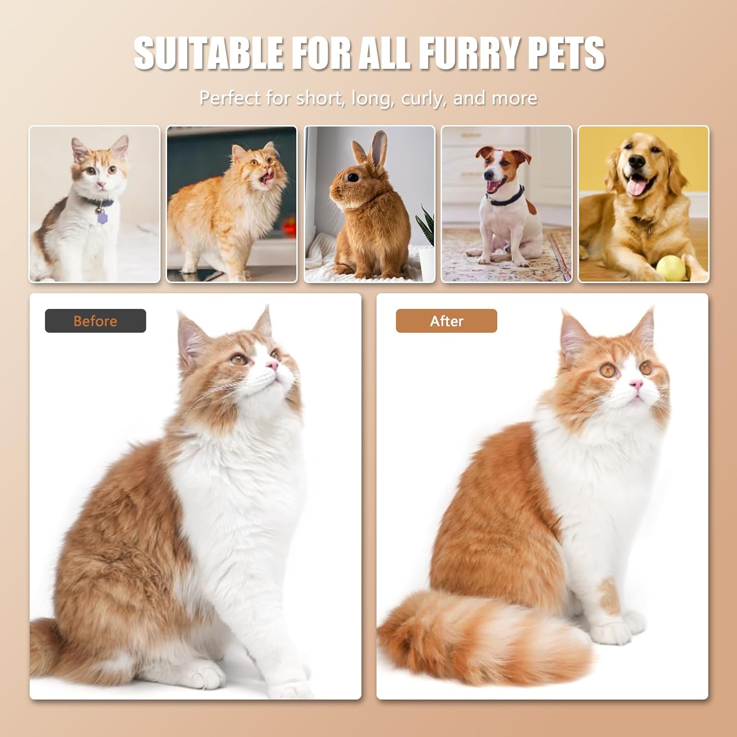 4 in 1 Grooming Spritz Defur UV Steam Brush For Cats