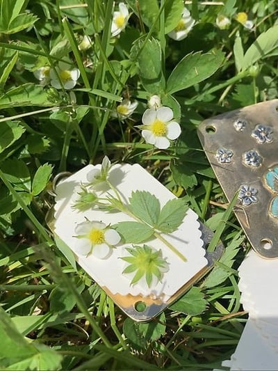 2025 Micro Flower Press