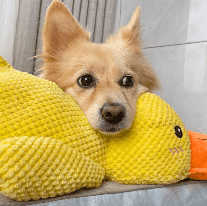 Mellow Dog Calming Duck Dog Toy