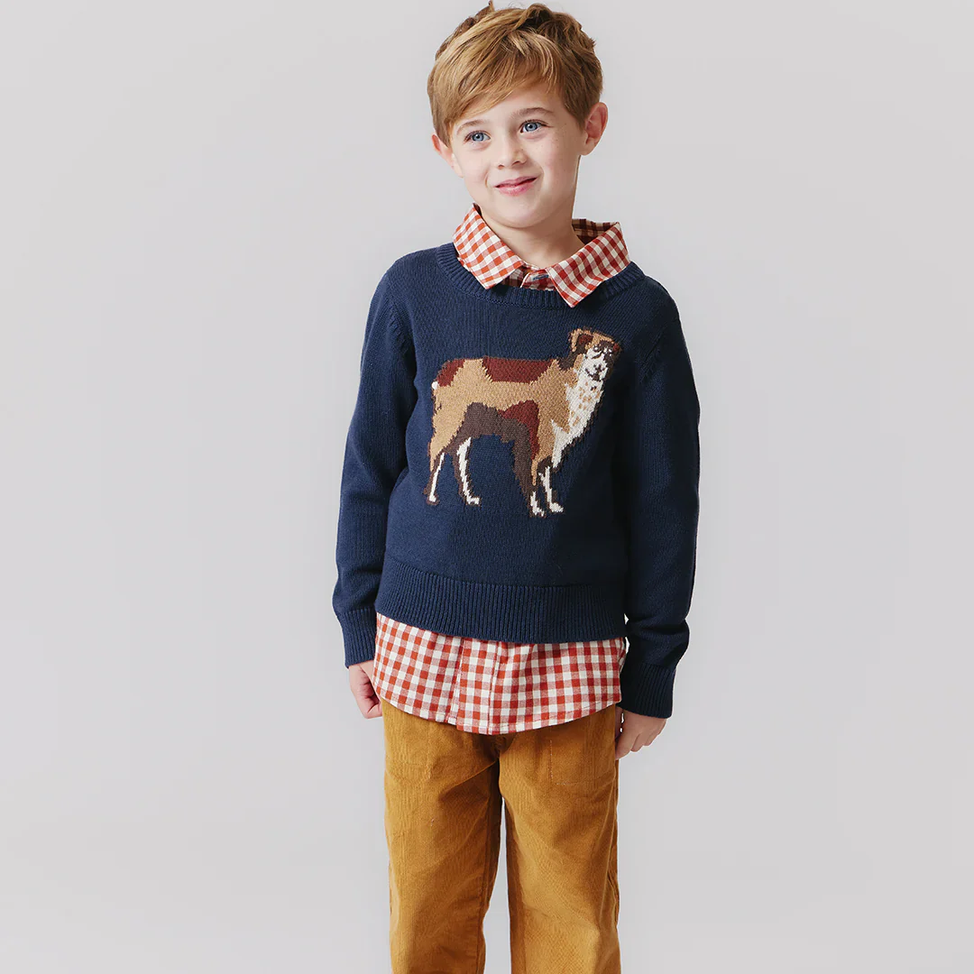 Boys Oliver Sweater Happy Dog