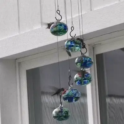 Vexlyt Glasses Wind Chime Hummingbird Feeder