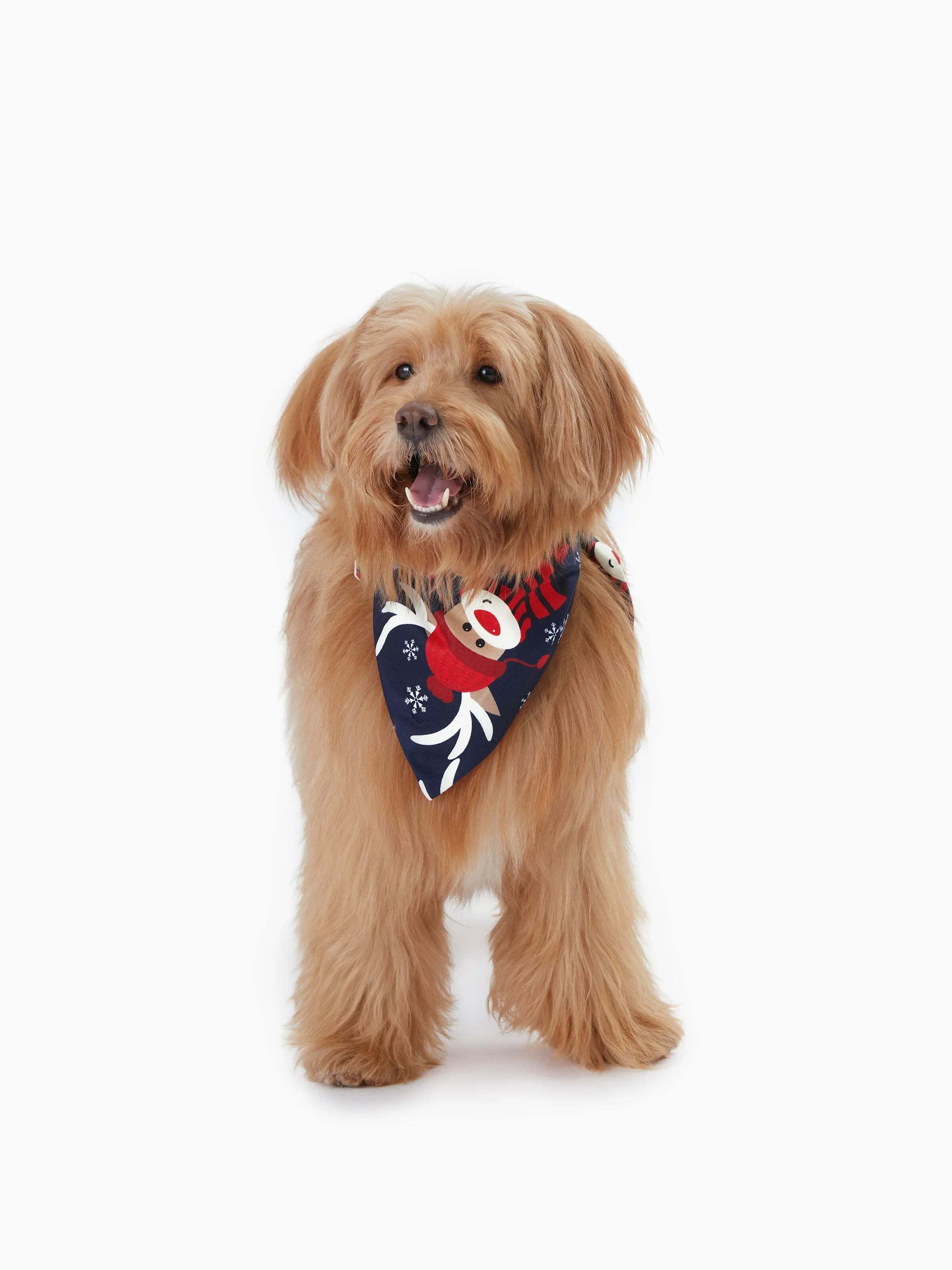 Christmas Family Pajamas Reindeer Pattern Big Graphic Raglan Sleeves Pajamas Sets with Christmas Socks Dark blue/White/Red