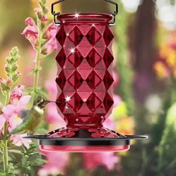 Red Glass Hummingbird Feeder